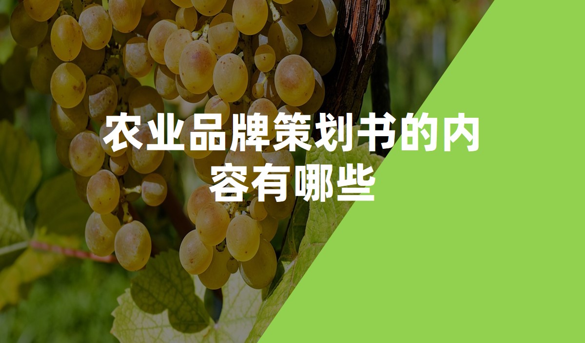 農業品牌策劃書的内容有(yǒu)哪些